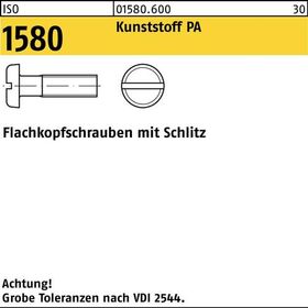 Flachkopfschraube ISO 1580 Schlitz M6x 30 Polyamid 200 Stück - VPE: 200