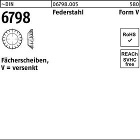 Fächerscheibe DIN 6798 FormV versenkt V 5,3 Federstahl 250 Stück - VPE: 250