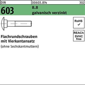 Flachrundschraube DIN 603 Vierkantansatz M8x16 8.8 galv.verz. 200St. - VPE: 200