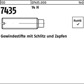 Gewindestift ISO 7435 Schlitz/Zapfen M4x 5 14 H 100 Stück - VPE: 100