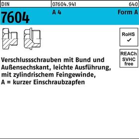 Verschlußschraube DIN 7604 Bund AM 22x 1,5 A 4 1 Stück