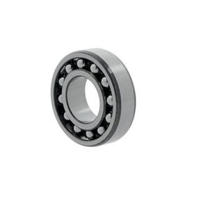 Pendelkugellager 2209 ETN9 ID 45mm AD 85mm Breite23mm SKF