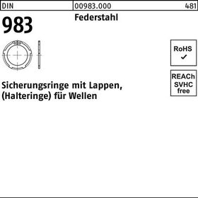 Sicherungsring DIN 983 Lappen 50x 2 Federstahl 100 Stück - VPE: 100