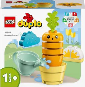 Duplo Wachsende Karotte