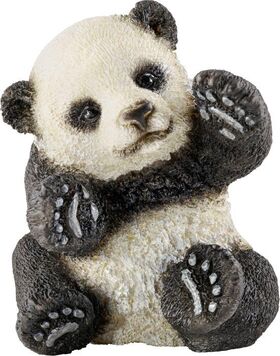 Panda Junges, spielend