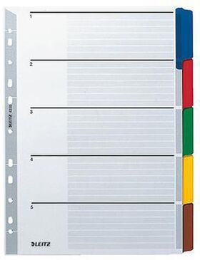 Leitz Register 43200000 blanko DIN A4 5teilig Karton grau