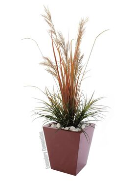 EUROPALMS LEICHTSIN BASIC-50, rot, glänzend