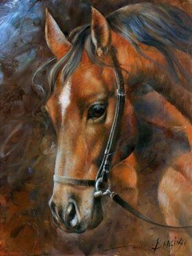 Diamond Painting Pferd 40x30 cm