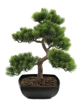 EUROPALMS Bonsai-Pinie, Kunstpflanze, 50cm