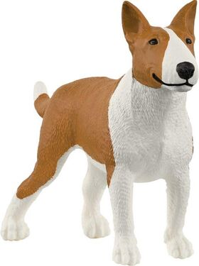 Bullterrier