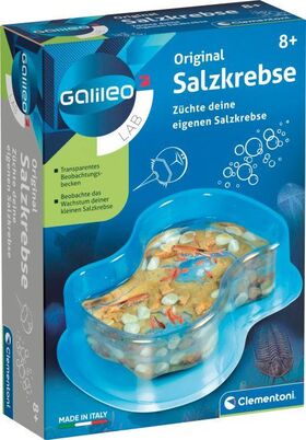 Galileo - Original Salzkrebse