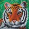 Crystal Art Leinwandbild Tiger 30x30cm