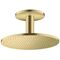 Kopfbrause 300 2jet AXOR Deckenmontage brushed brass